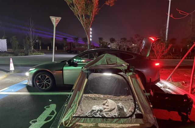 专家：鼓励探索精神 但安全是前提不朽情缘年轻人旅游带帐篷过夜