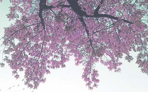 季自驾游好去处推荐mg不朽情缘安徽秋